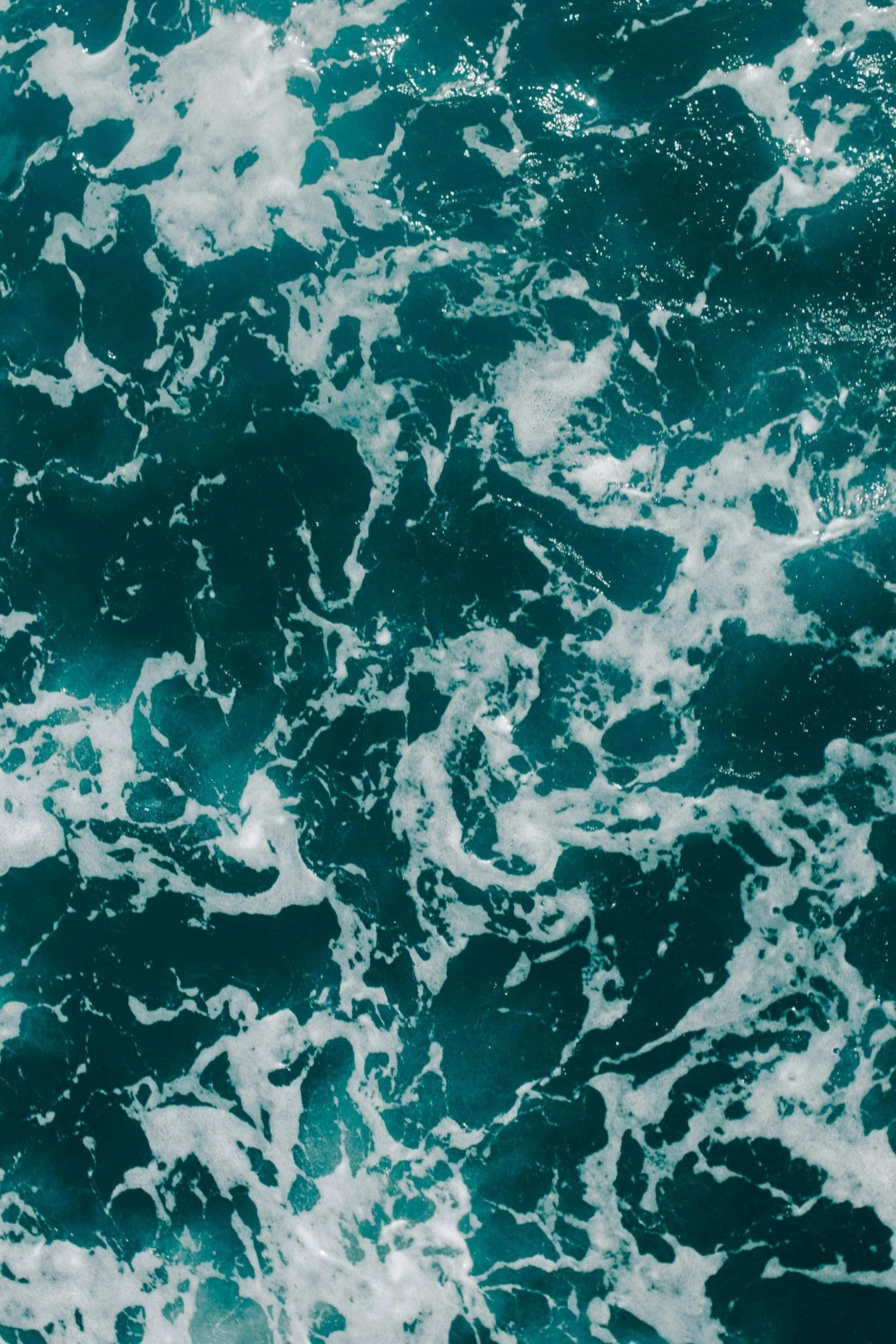 84a1614212255433f9e64c6adbc9af94e76f8140 1 scaled e1771224221661