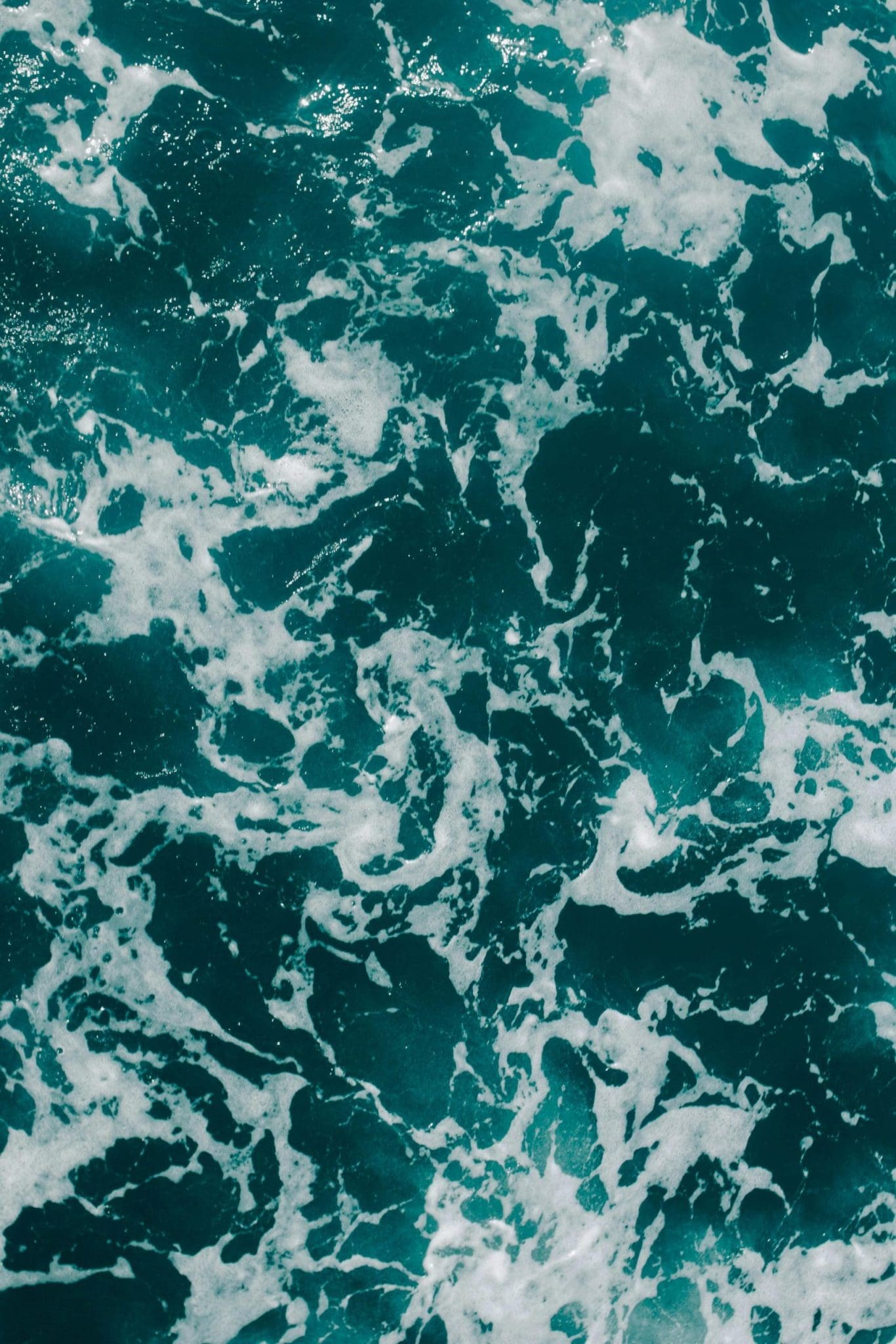 84a1614212255433f9e64c6adbc9af94e76f8140 scaled e1771226233674