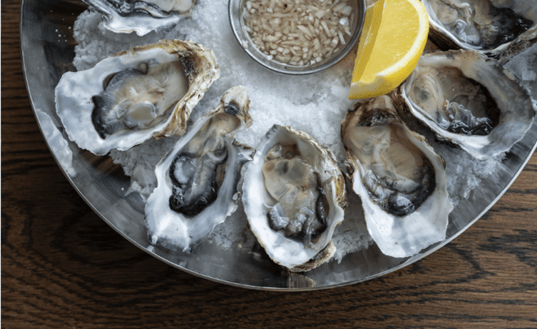 oysters img